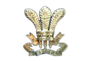 Rashtriya Indian Military College Logo